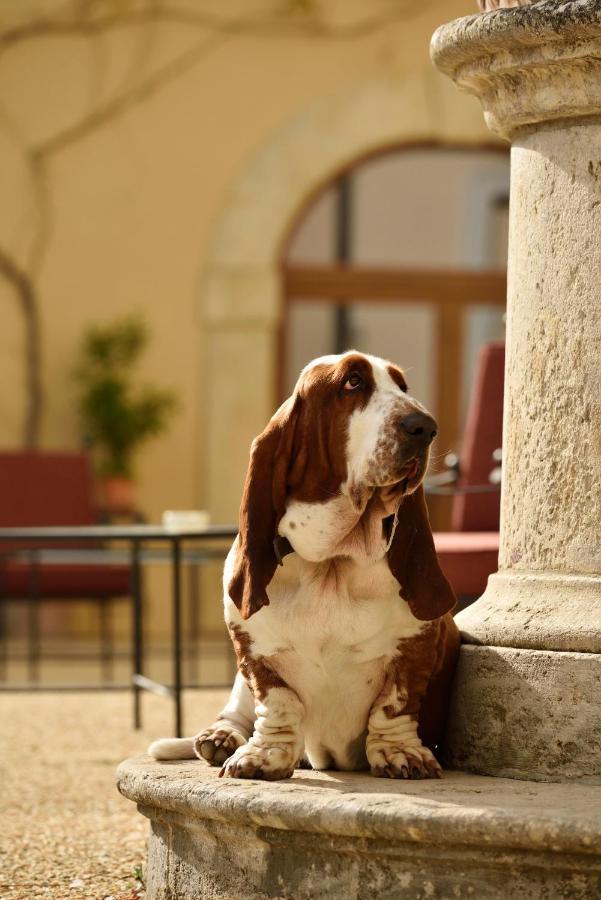 Villa Sabolini Colle Val D'Elsa Extérieur photo